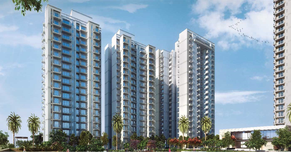 Noida Real Estate Properties and Business IT Hub